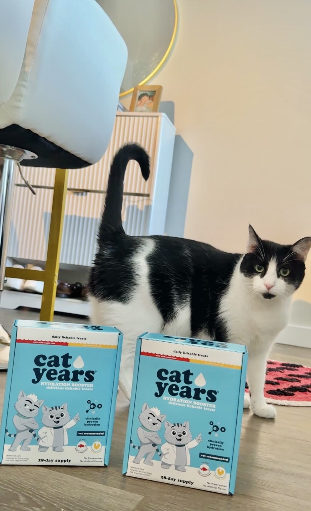 Tuxedo cat standing behind two boxes of Cat Years treats